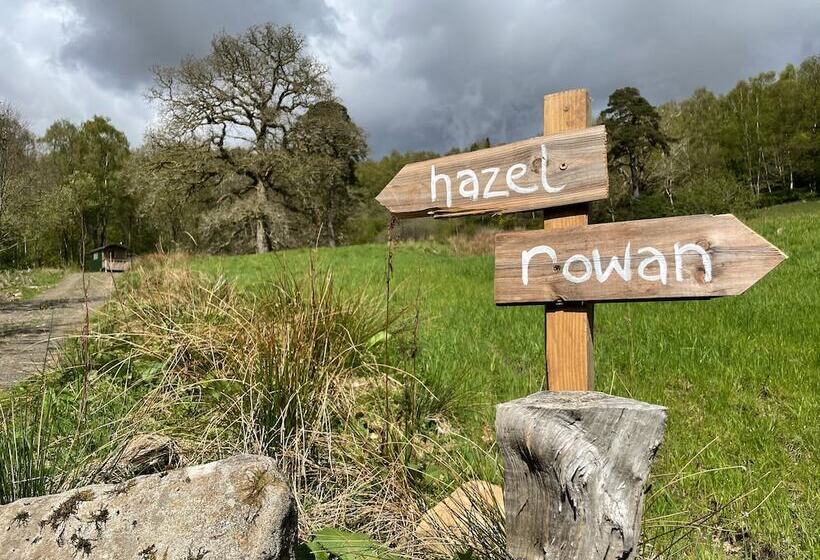 Cosy Woodland Off Grid Shepherds Hut Hazel