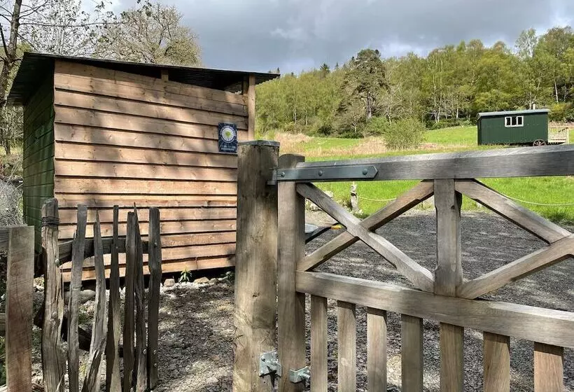Cosy Woodland Off Grid Shepherds Hut   Hazel