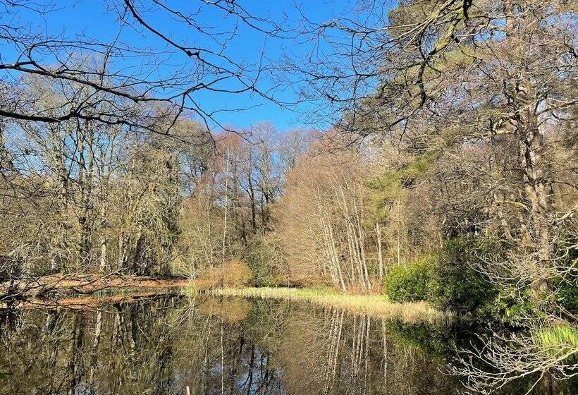 Cosy Woodland Off Grid Shepherds Hut Hazel