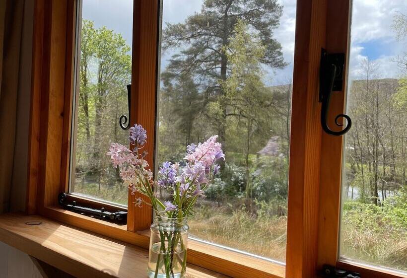 Cosy Woodland Off Grid Shepherds Hut Hazel