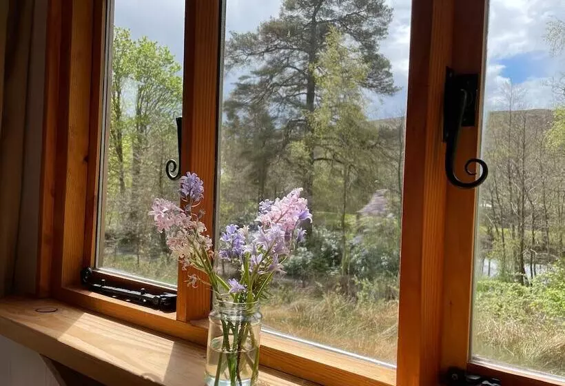 Cosy Woodland Off Grid Shepherds Hut   Hazel