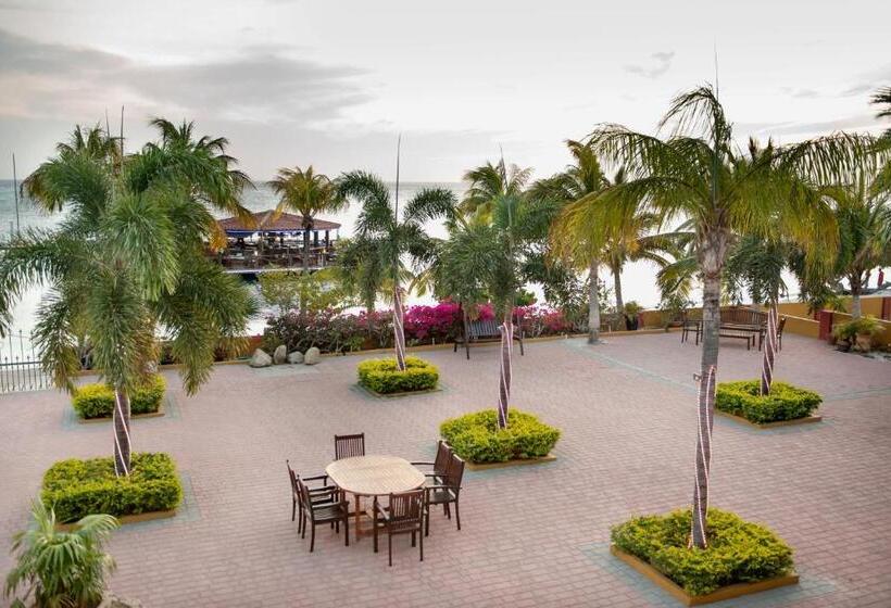 هتل Aruba Surfside Marina