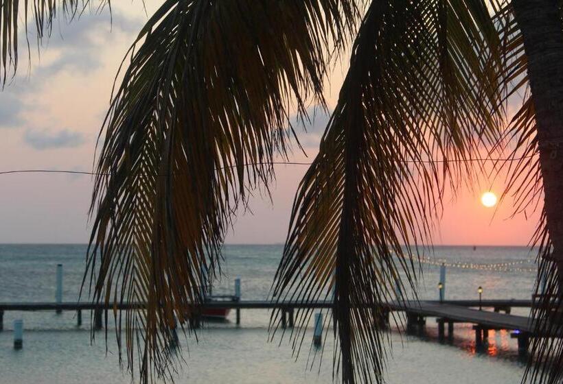 هتل Aruba Surfside Marina