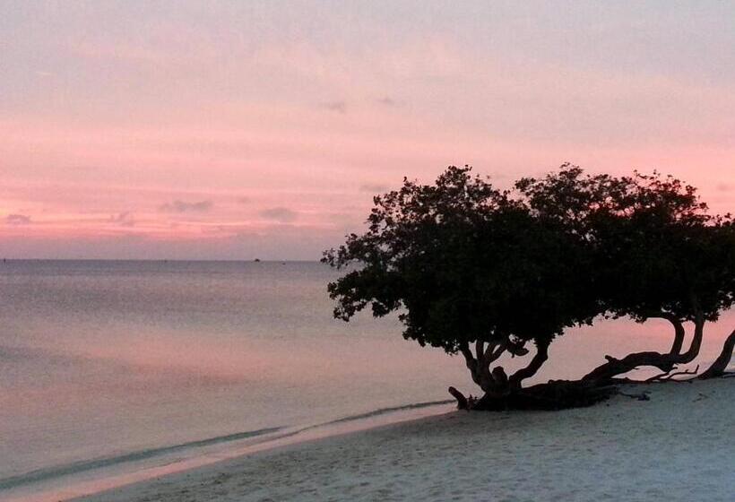 هتل Aruba Surfside Marina