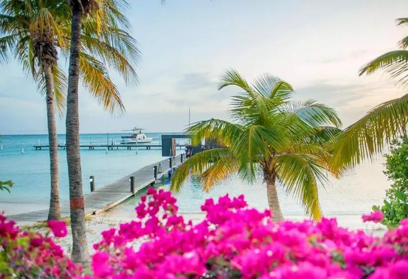 Hotelli Aruba Surfside Marina