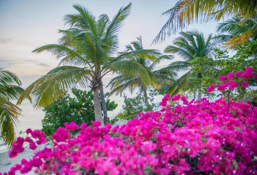 هتل Aruba Surfside Marina