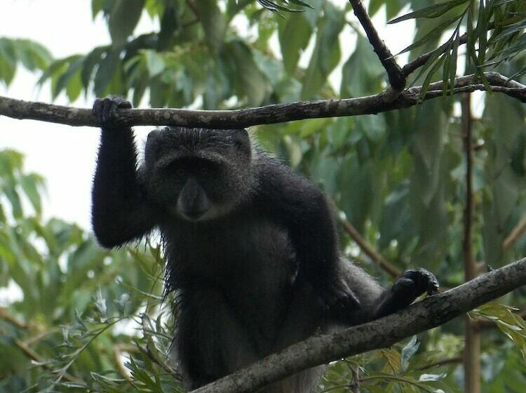 호텔 Songota Falls Lodge