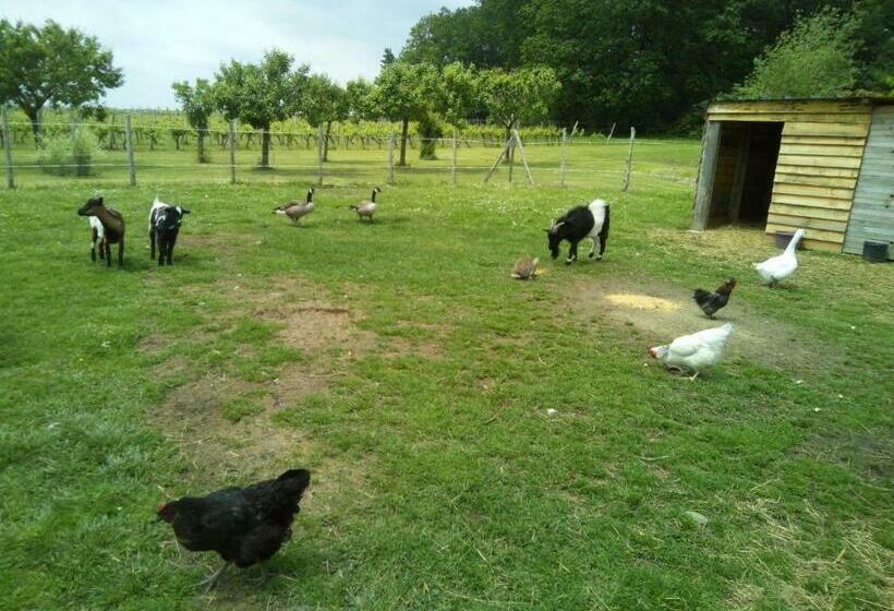 بنسيون La Mirabelle