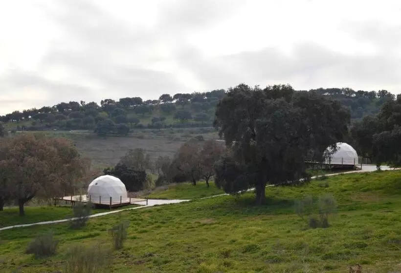 Herdade Ribeira De Borba