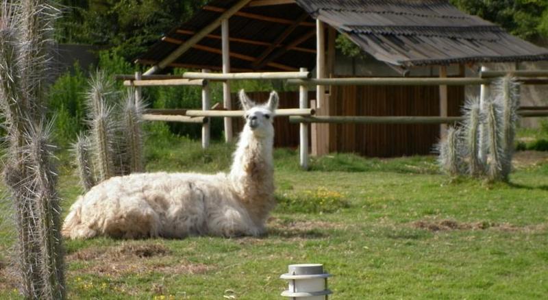 בית מלון כפרי Limari