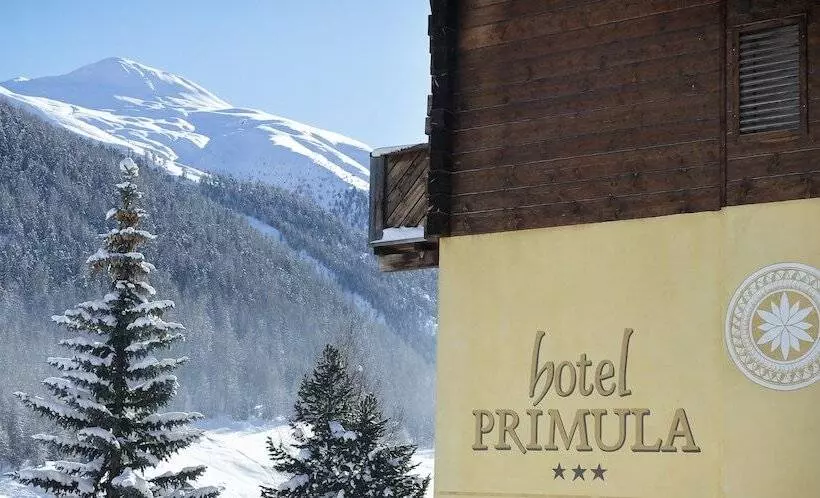 Hotel Primula