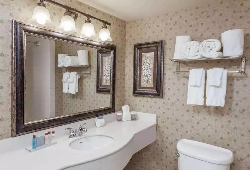 Отель Wingate By Wyndham