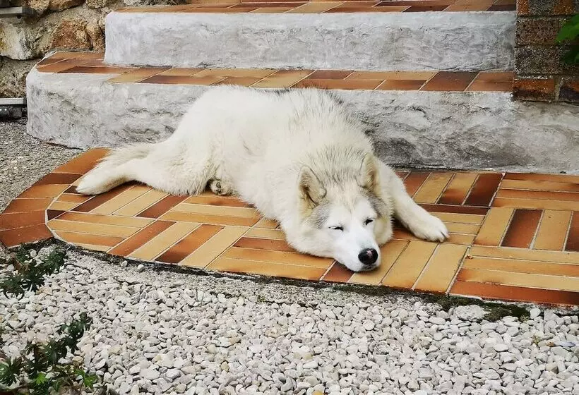 Majatalo Le Temps D Une Pause à Boursault