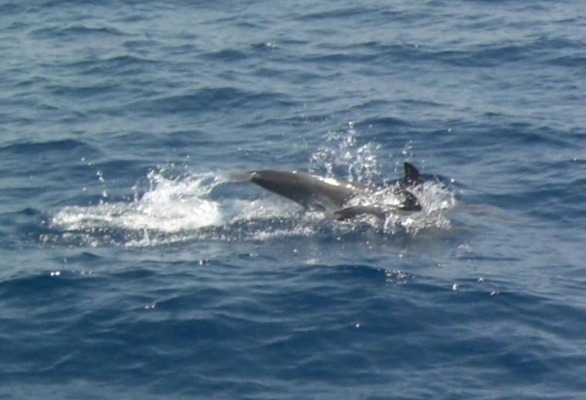 בית מלון כפרי Sailing Yacht By Owner, Holidays To Greek Islands