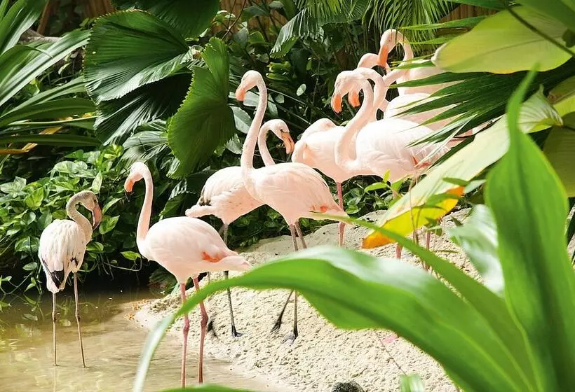 Hotelli Tropical Islands Campingplatz