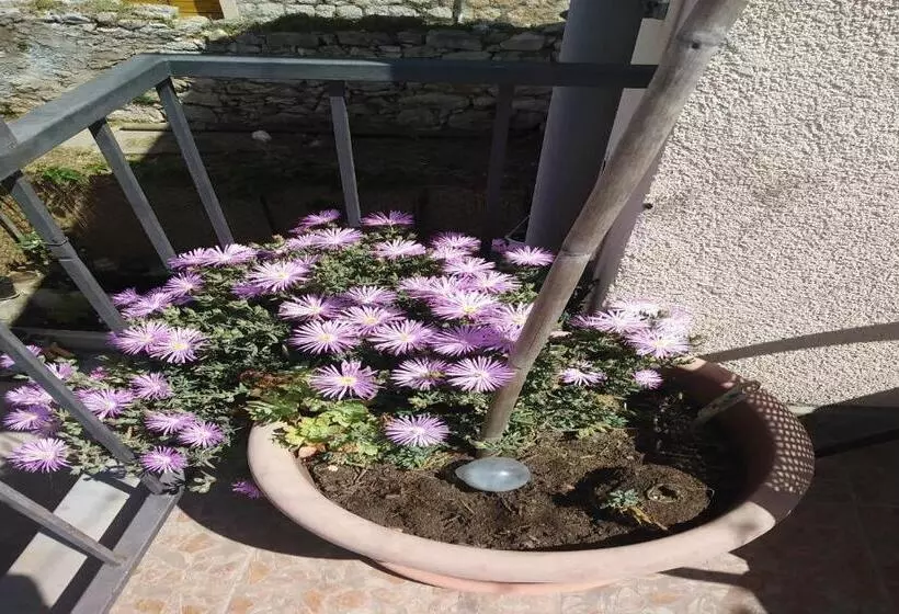 Majatalo Rooms Brezak Lastovo