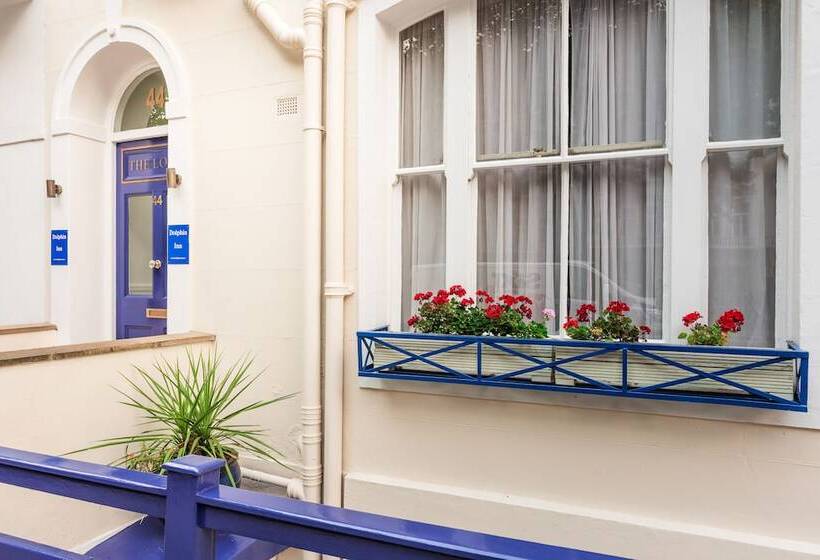 Dolphin Inn   The Lodge