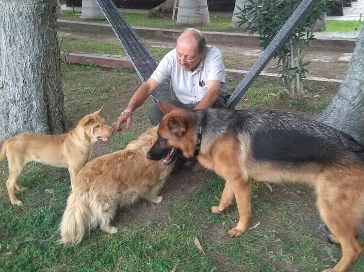 호텔 La Maison Suisse