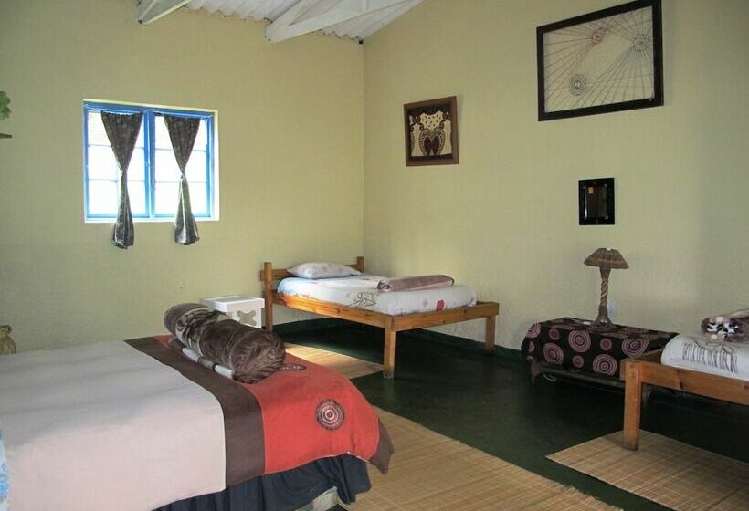 Hotel Amapondo Backpackers Lodge