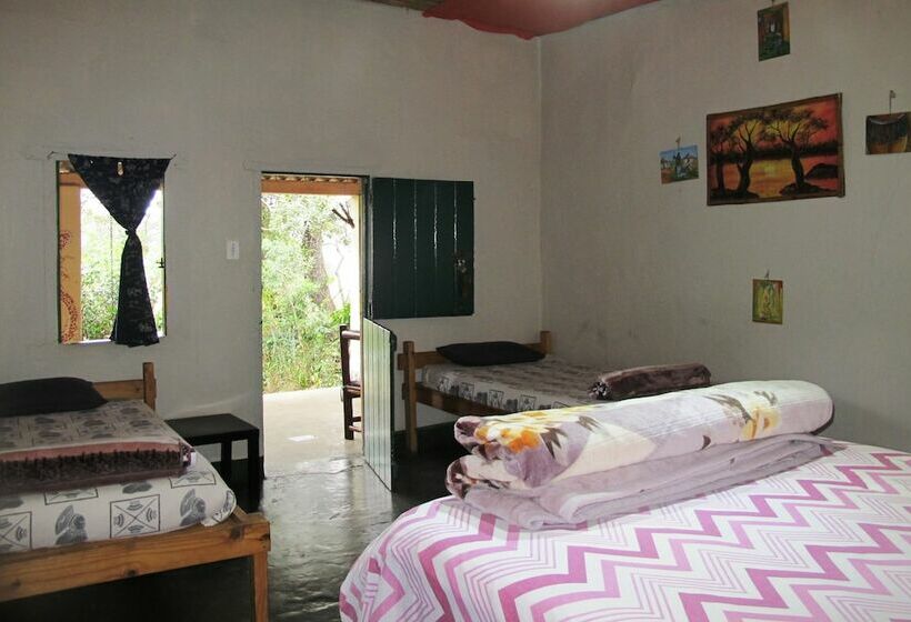 Hotel Amapondo Backpackers Lodge