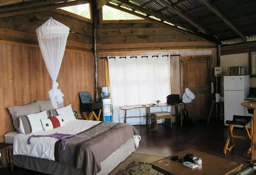 Hotelli Amapondo Backpackers Lodge