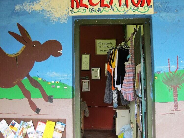 Hotel Amapondo Backpackers Lodge