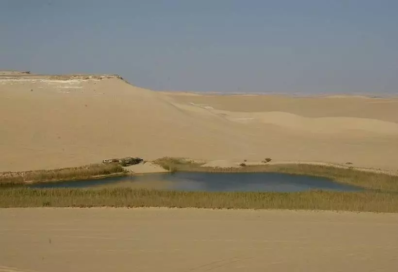 هتل Siwa Paradise