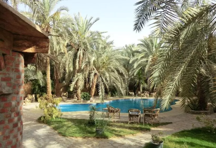 هتل Siwa Paradise