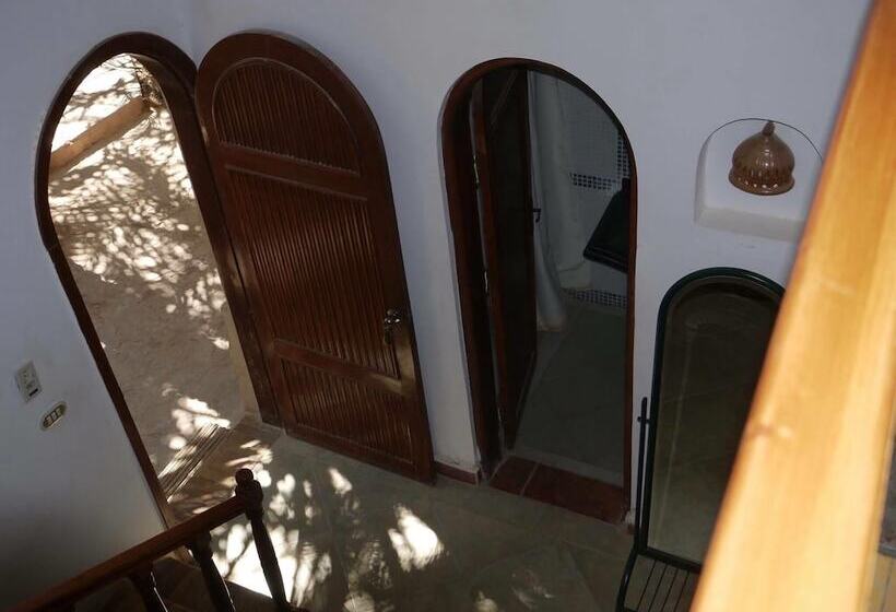 هتل Siwa Paradise