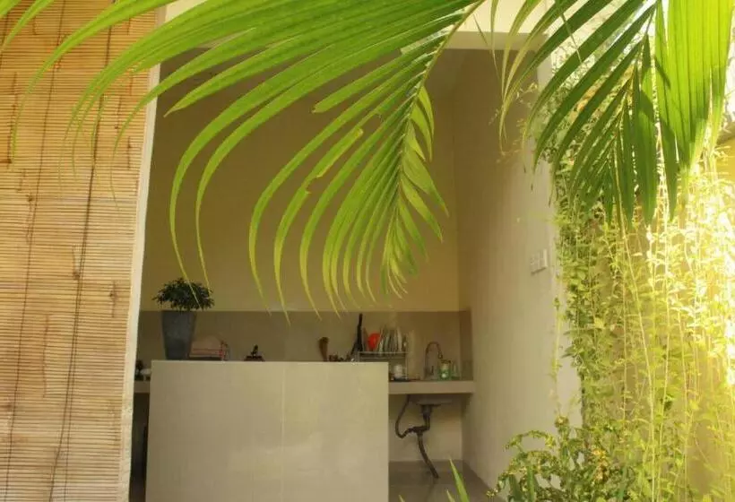 ペンション Purnama Guesthouse