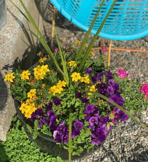 הוסטל Murphys Law Inn 5