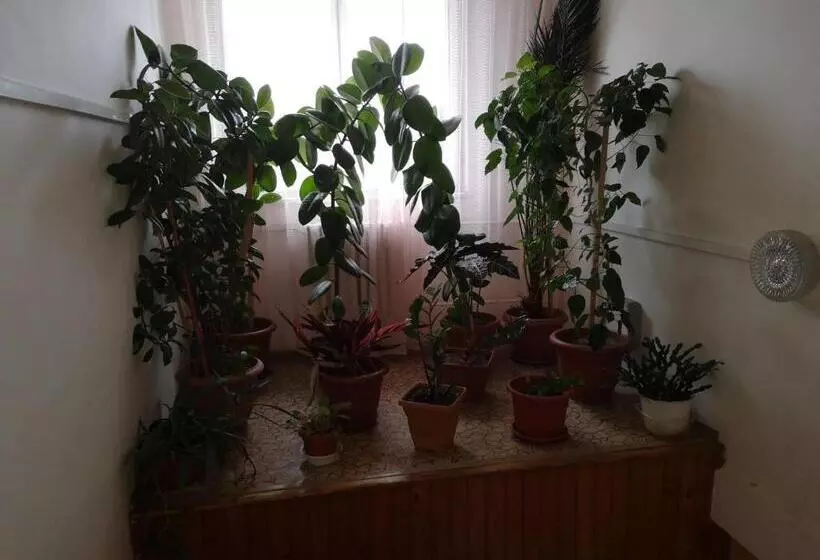 Majatalo Biela Labuť