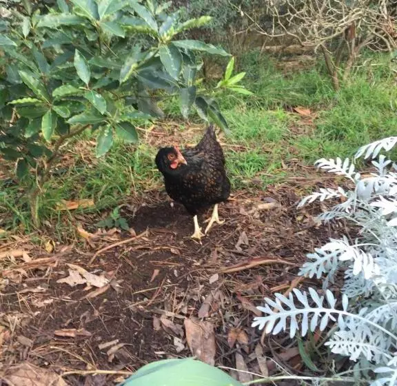 Sherwood Park Bed And Breakfast