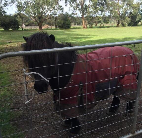 Sherwood Park Bed And Breakfast