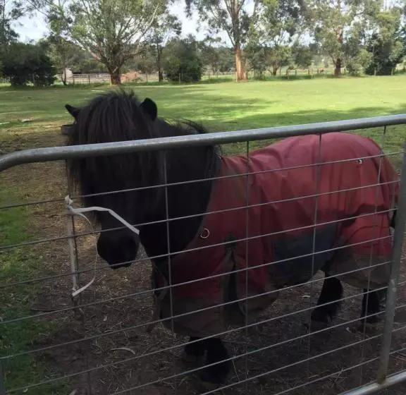 Sherwood Park Bed And Breakfast