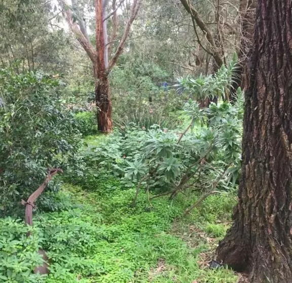 Sherwood Park Bed And Breakfast