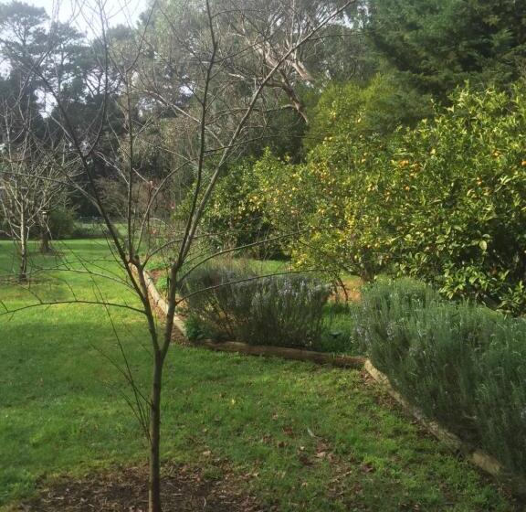 Sherwood Park Bed And Breakfast