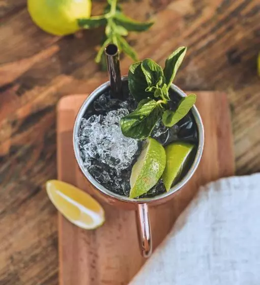 Vila Savka