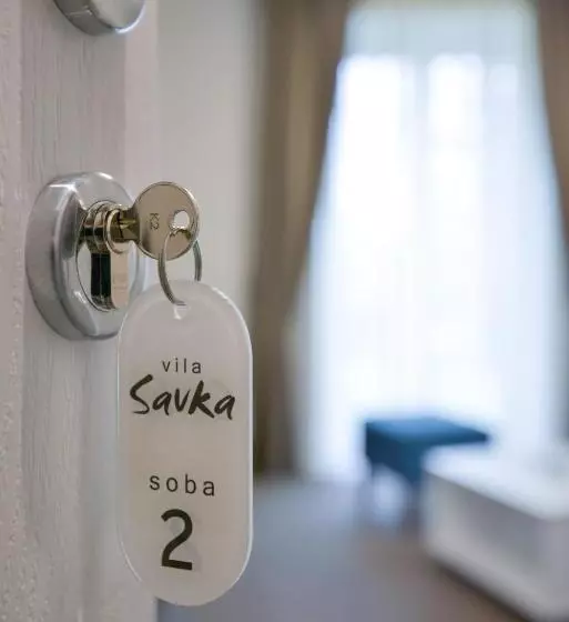 Vila Savka