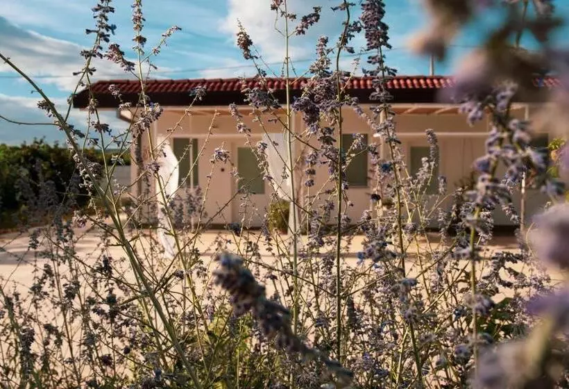 B&b La Ferula