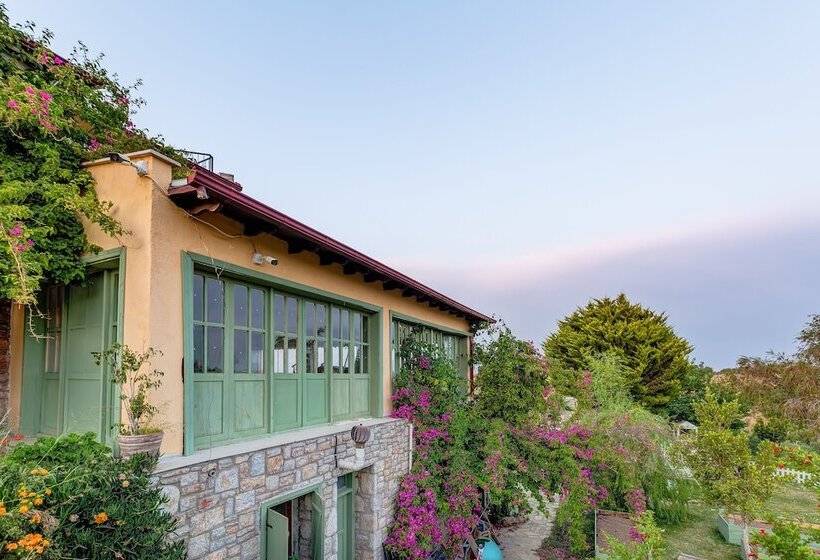 민박 Casa Di Datca