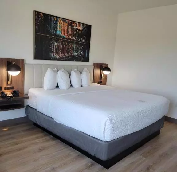 Hotelli La Quinta Inn & Suites By Wyndham Terrell