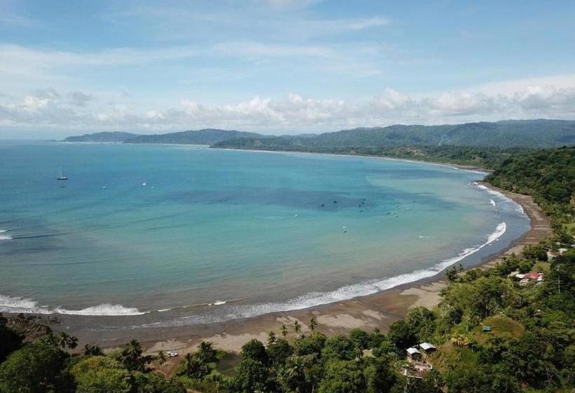 فندق Jungle Drake