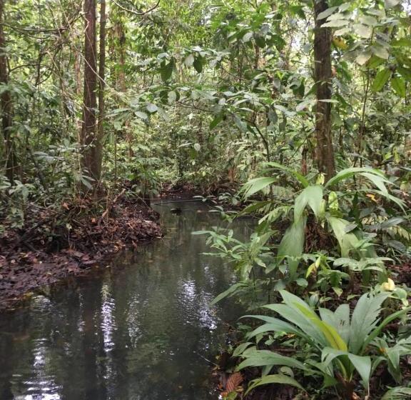 فندق Jungle Drake