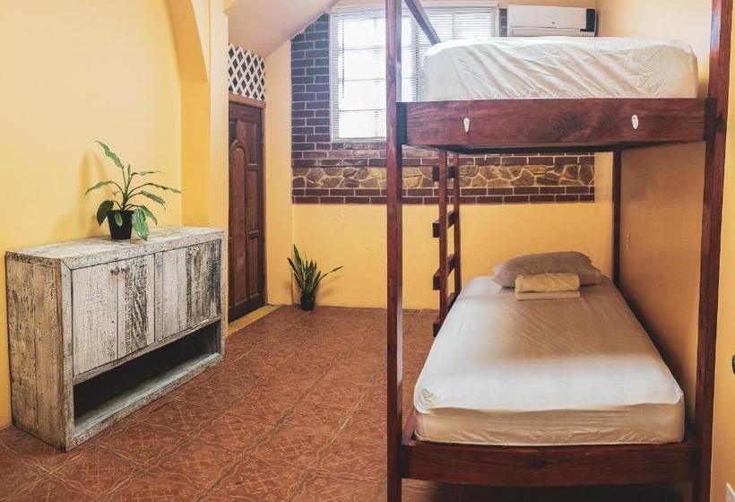 旅馆 Yellow Belly Backpackers