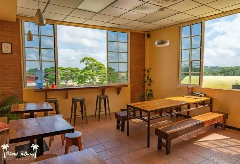 Retkeilymaja Yellow Belly Backpackers