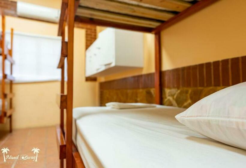 旅馆 Yellow Belly Backpackers