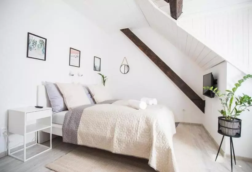 پانسیون Penzión Branecky