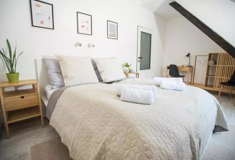 پانسیون Penzión Branecky