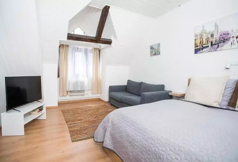 پانسیون Penzión Branecky